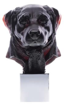 Dandys gaspard retriever black - Daum